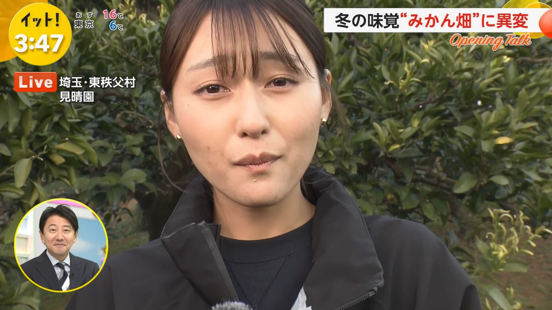 宮本真綾アナの画像集　vol.10