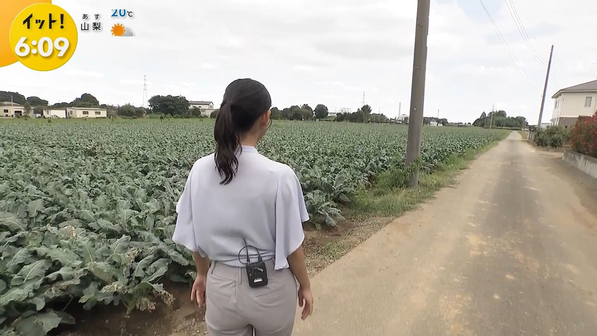 石渡花菜アナの画像集　vol.16