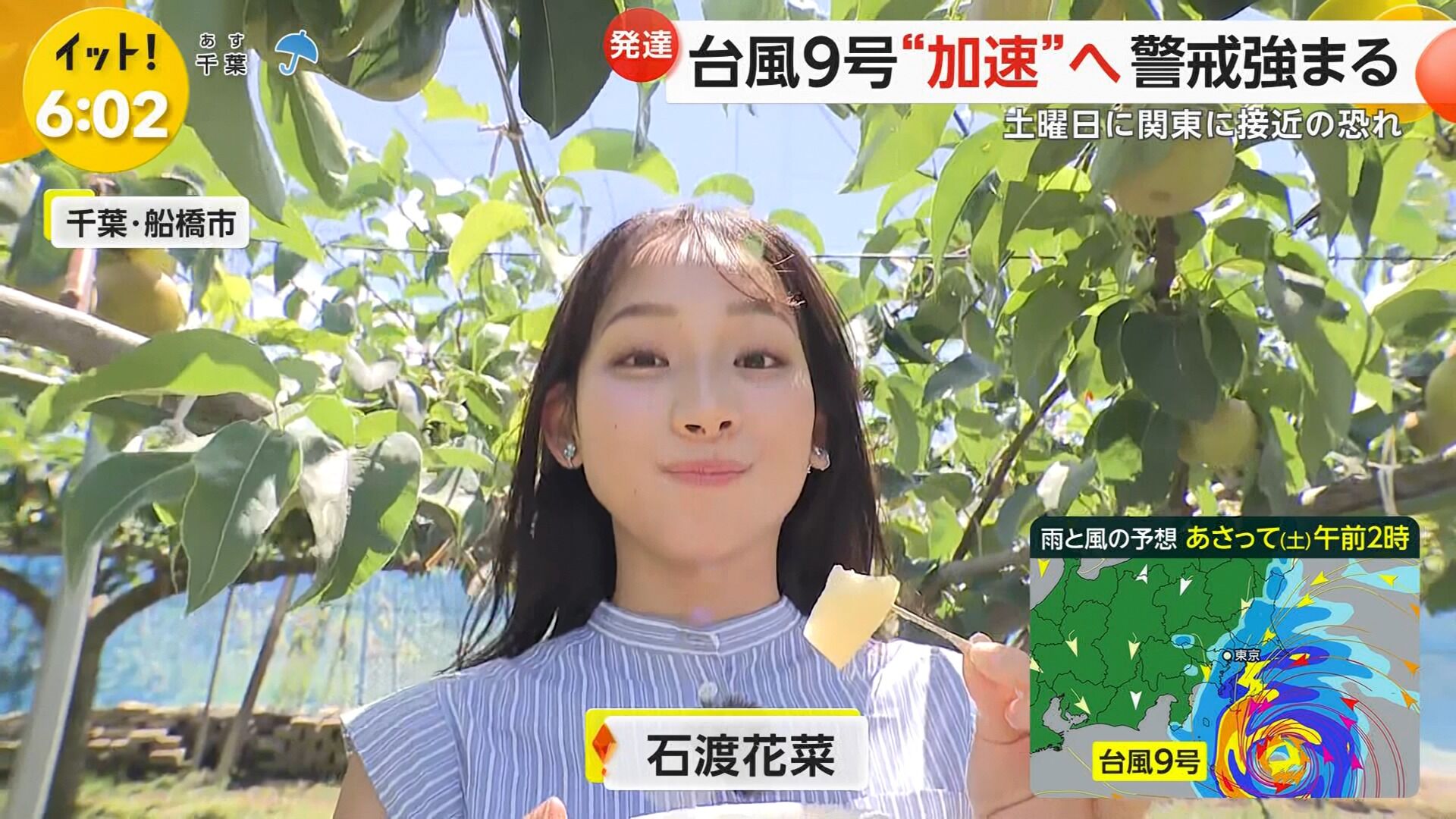 石渡花菜アナの画像集　vol.7