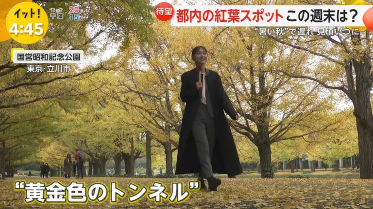 宮本真綾アナの画像集 vol.7