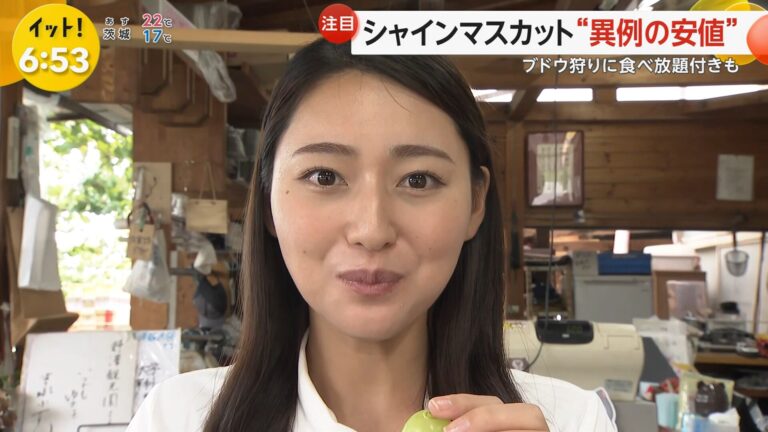 宮本真綾アナの画像集 vol.64