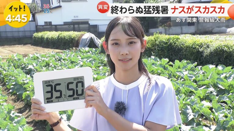 石渡花菜アナの画像集 vol.23