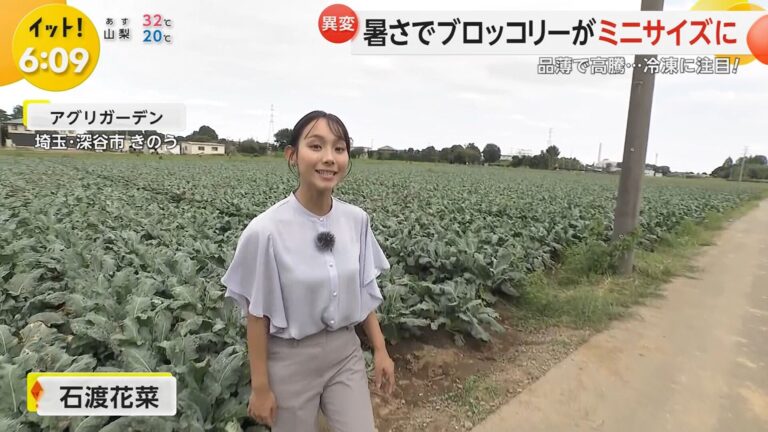 石渡花菜アナの画像集 vol.22