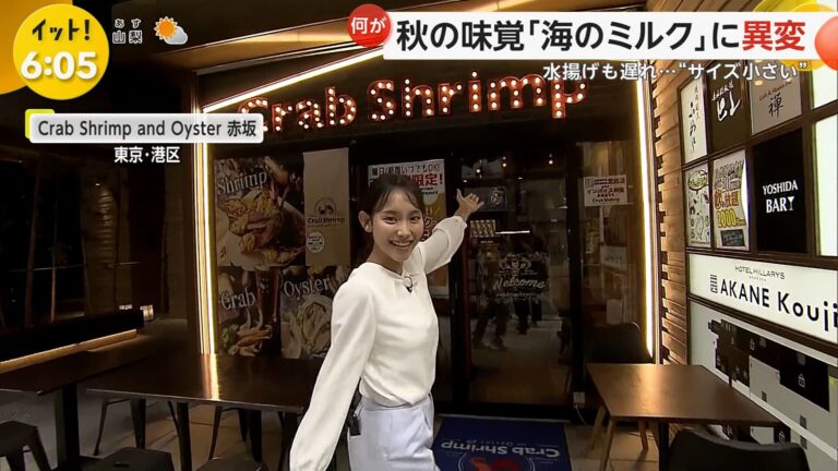 石渡花菜アナの画像集 vol.20