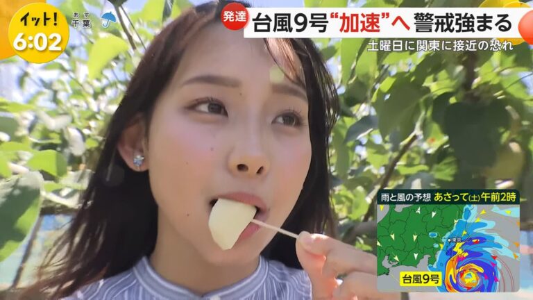 石渡花菜アナの画像集 vol.31