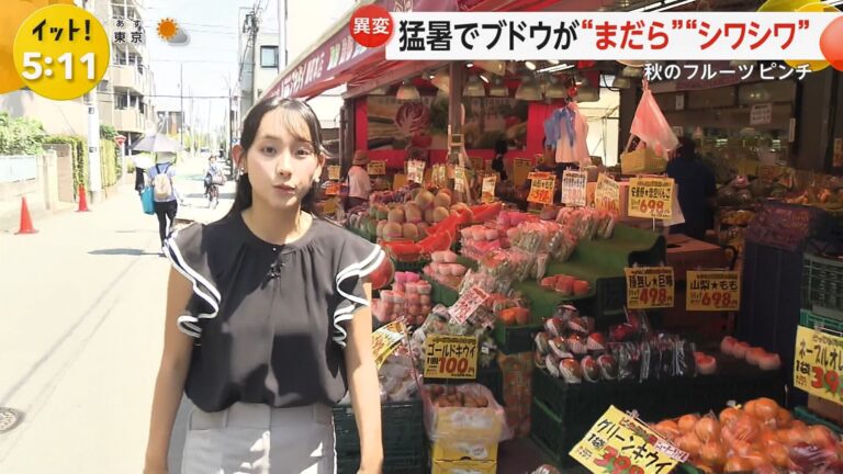 石渡花菜アナの画像集 vol.29