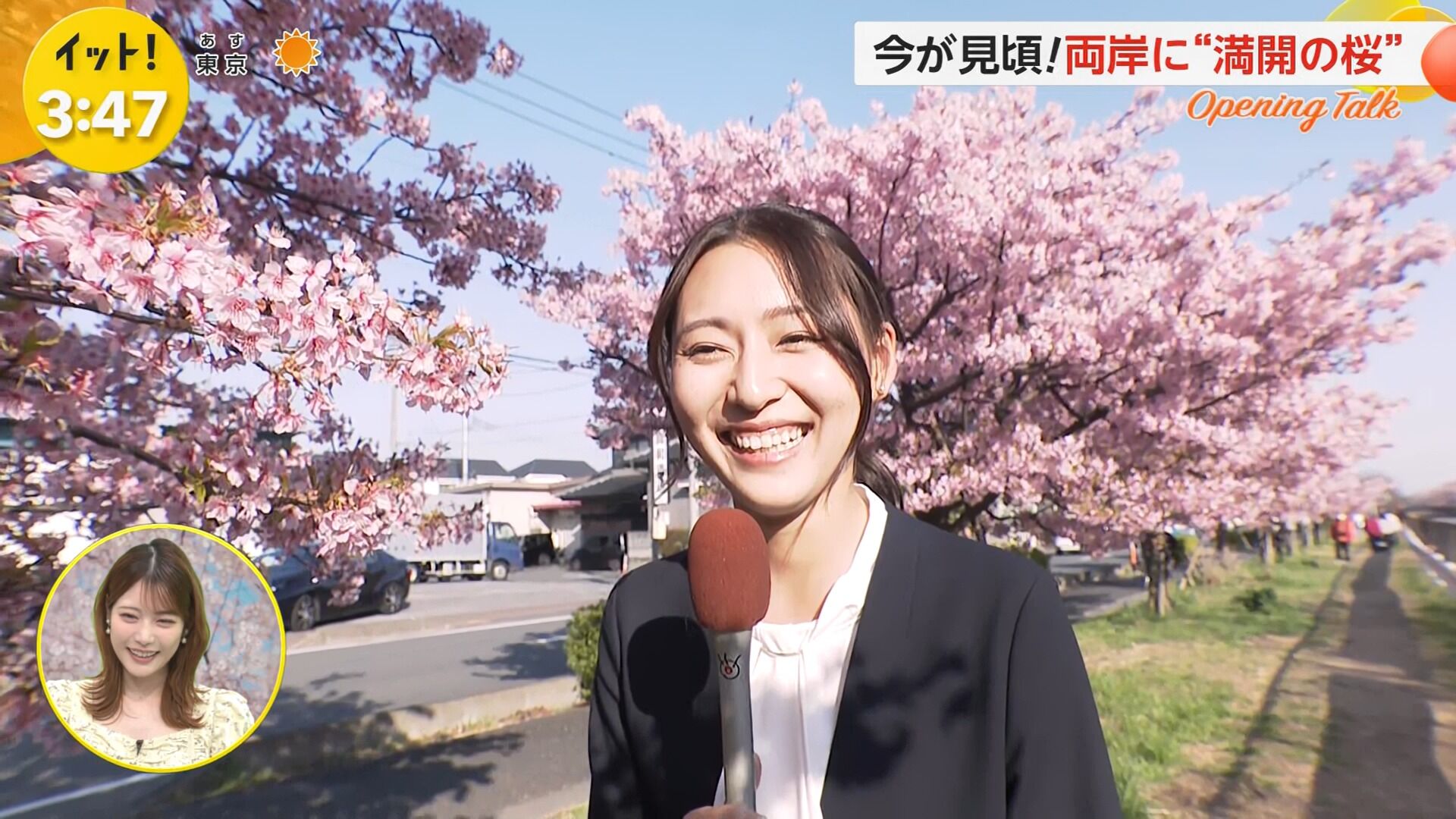 宮本真綾アナの画像集 vol.104