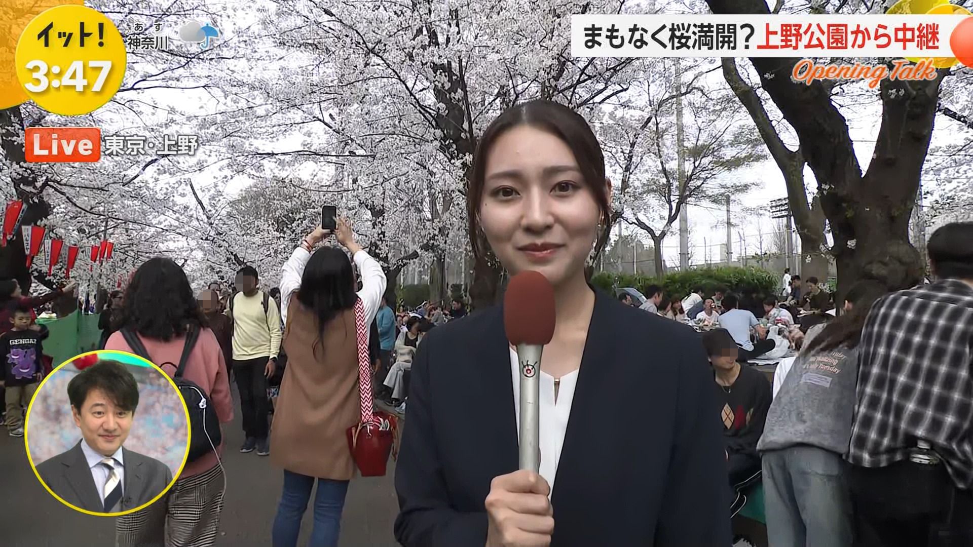 宮本真綾アナの画像集 vol.105
